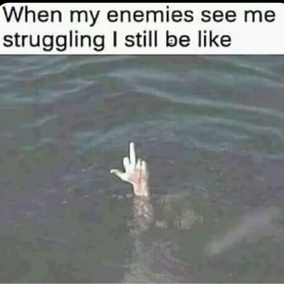 Meet your Posher, curry - Picture 1 of 1